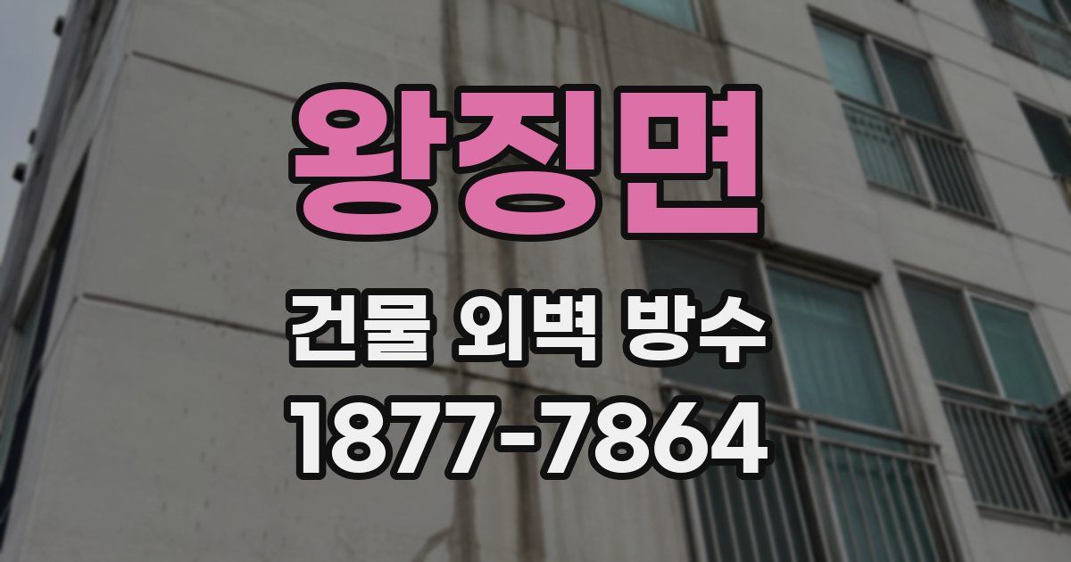 왕징면 건물 외벽 방수