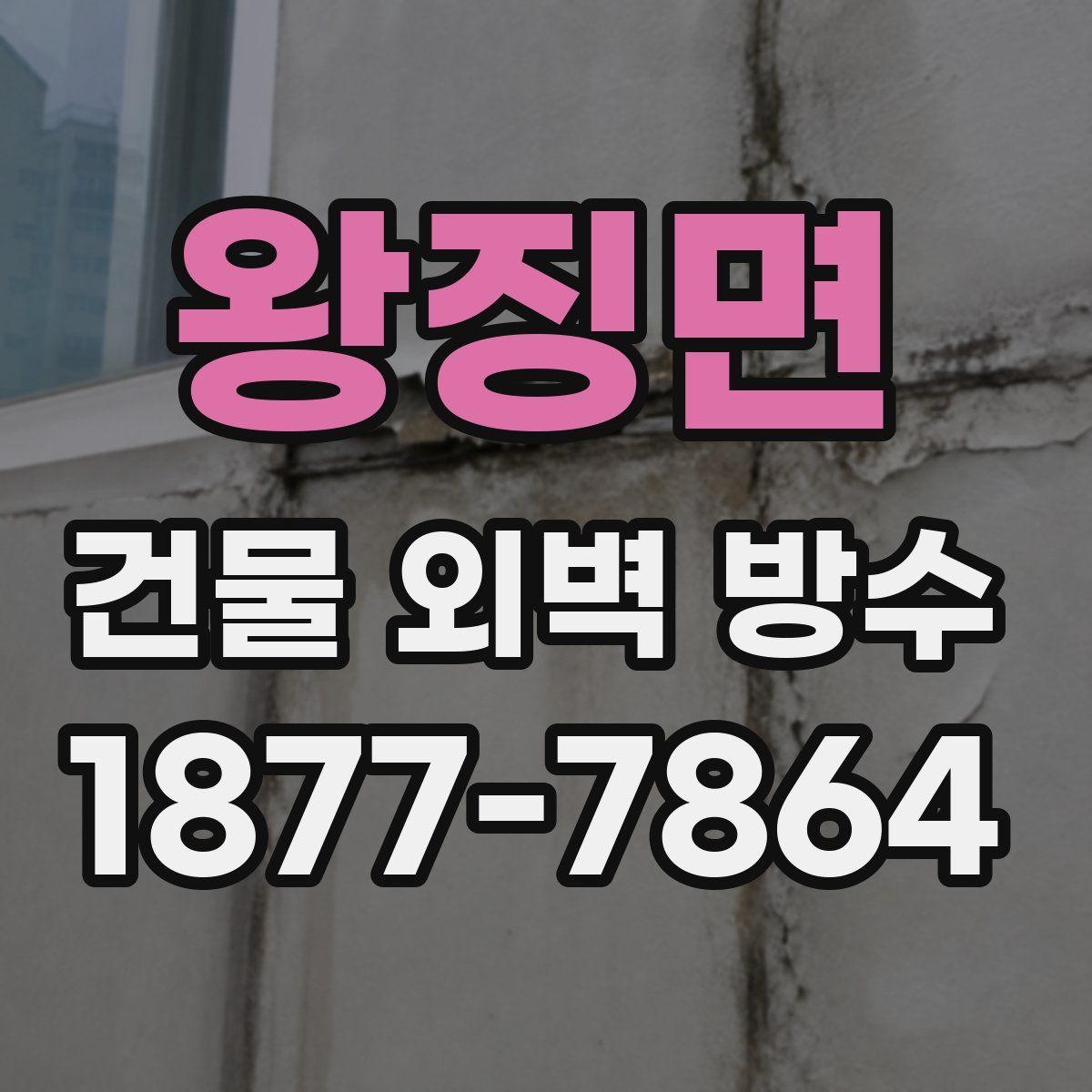 왕징면 건물 외벽 방수