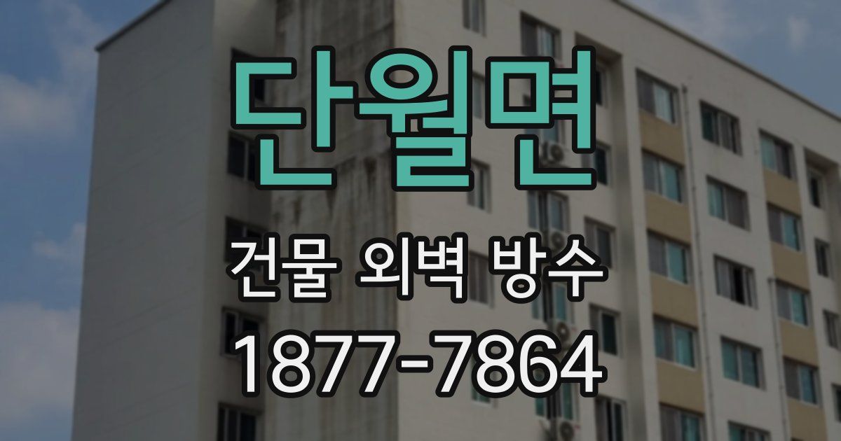 단월면 건물 외벽 방수
