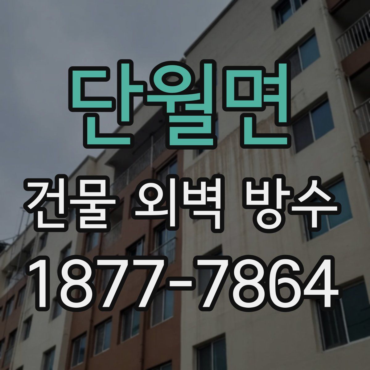 단월면 건물 외벽 방수