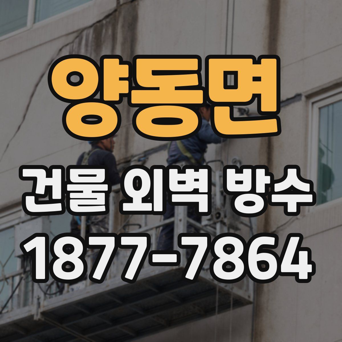 양동면 건물 외벽 방수