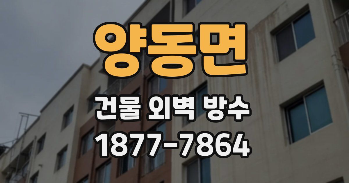 양동면 건물 외벽 방수