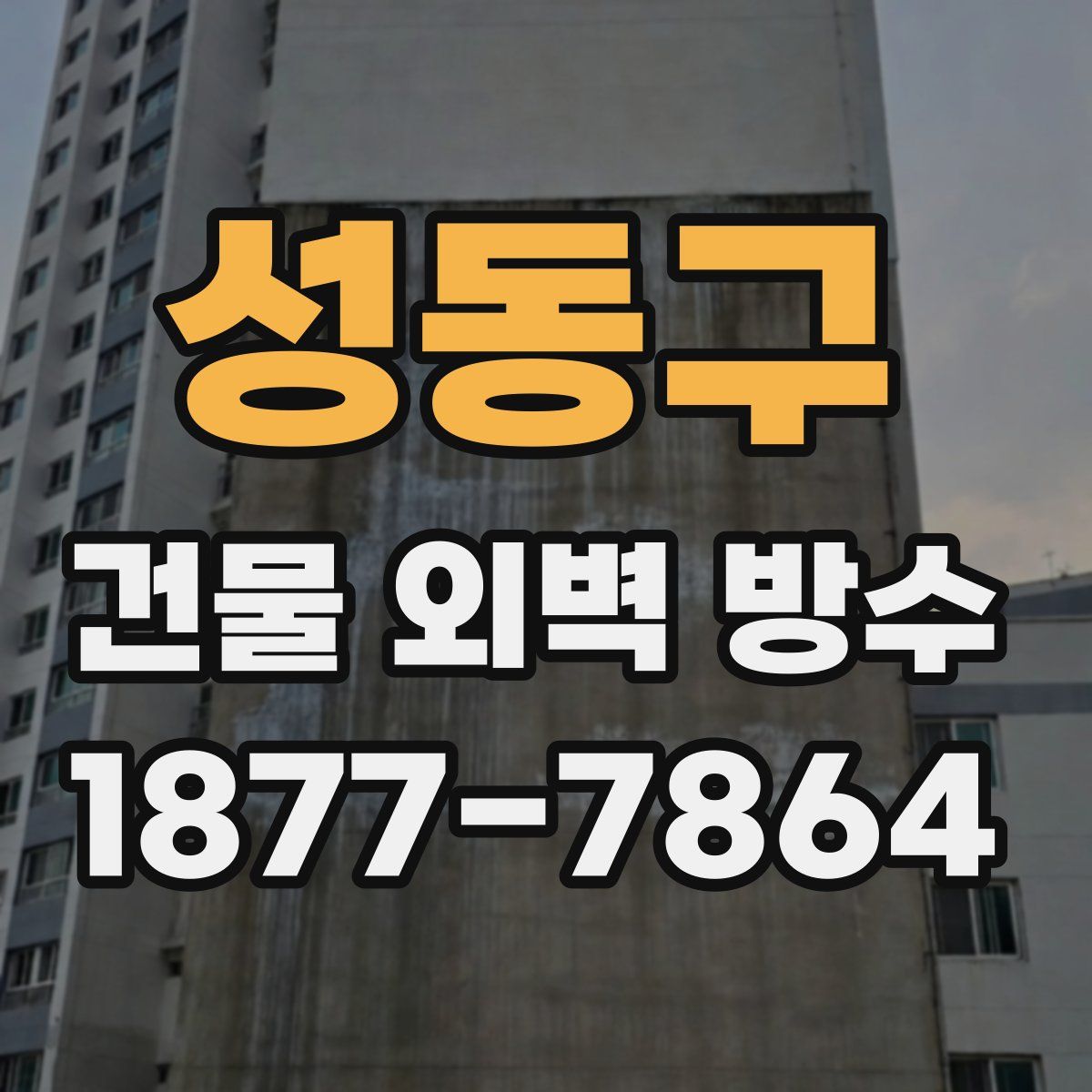 성동구 건물 외벽 방수