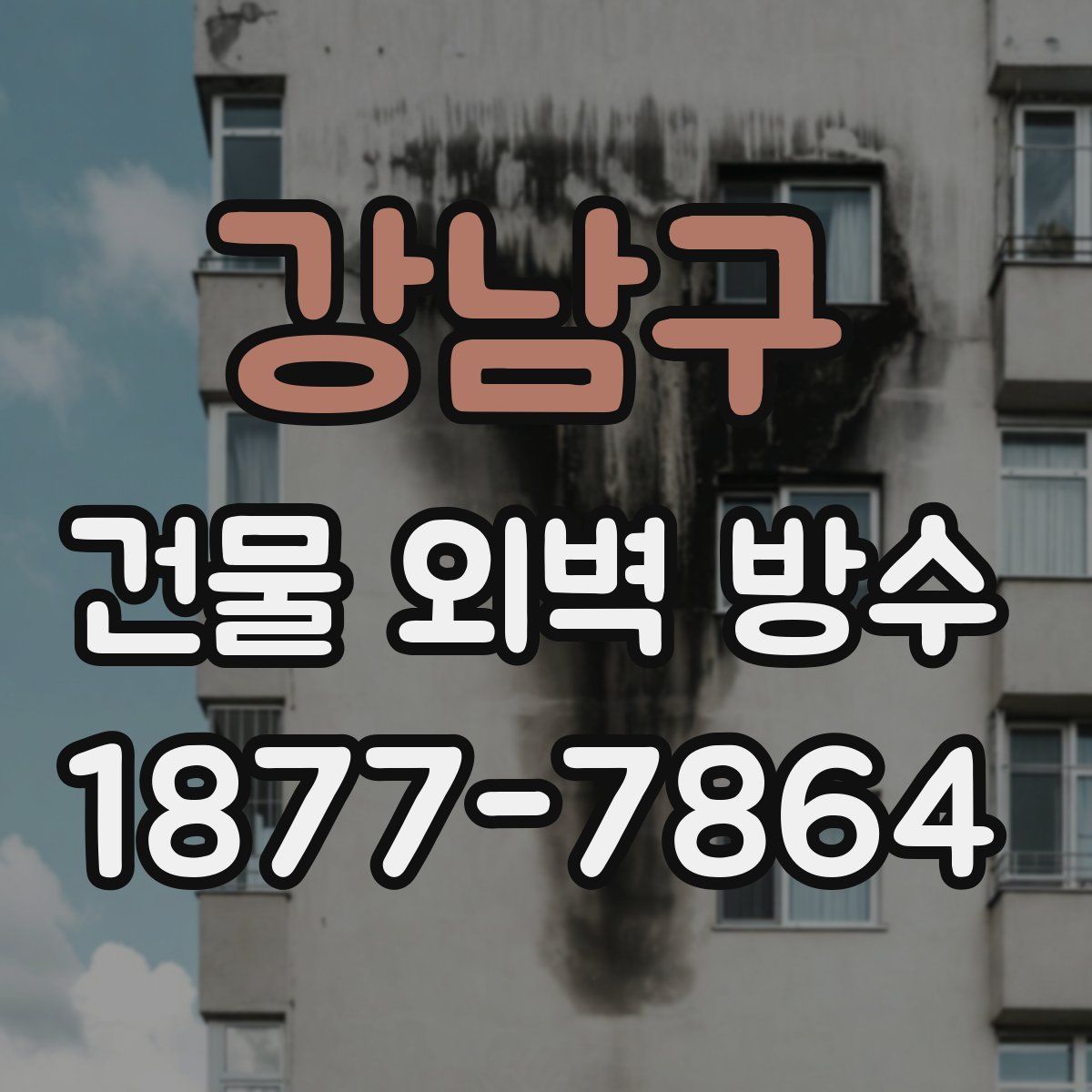 강남구 건물 외벽 방수