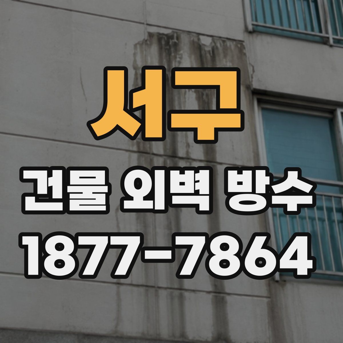 서구 건물 외벽 방수