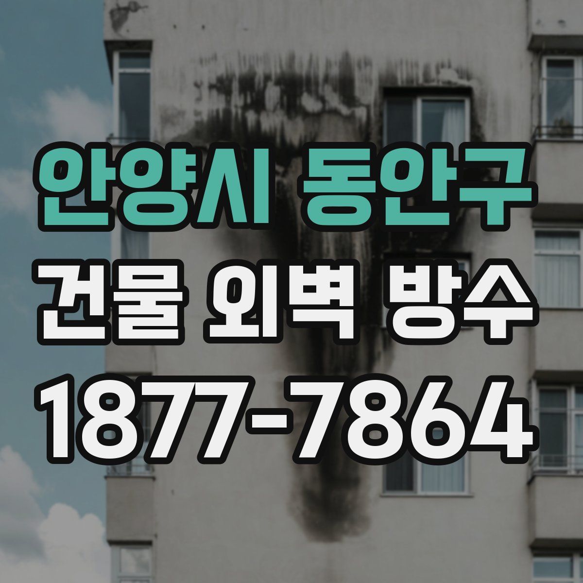 안양시 동안구 건물 외벽 방수