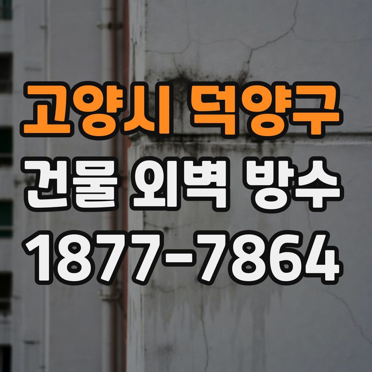 고양시 덕양구 건물 외벽 방수