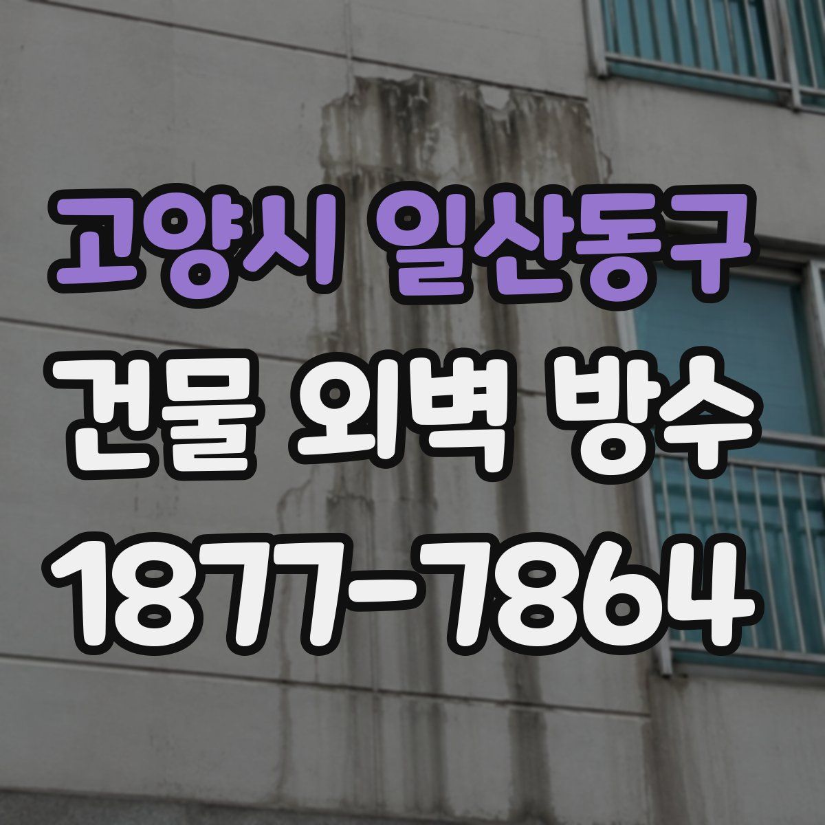 고양시 일산동구 건물 외벽 방수
