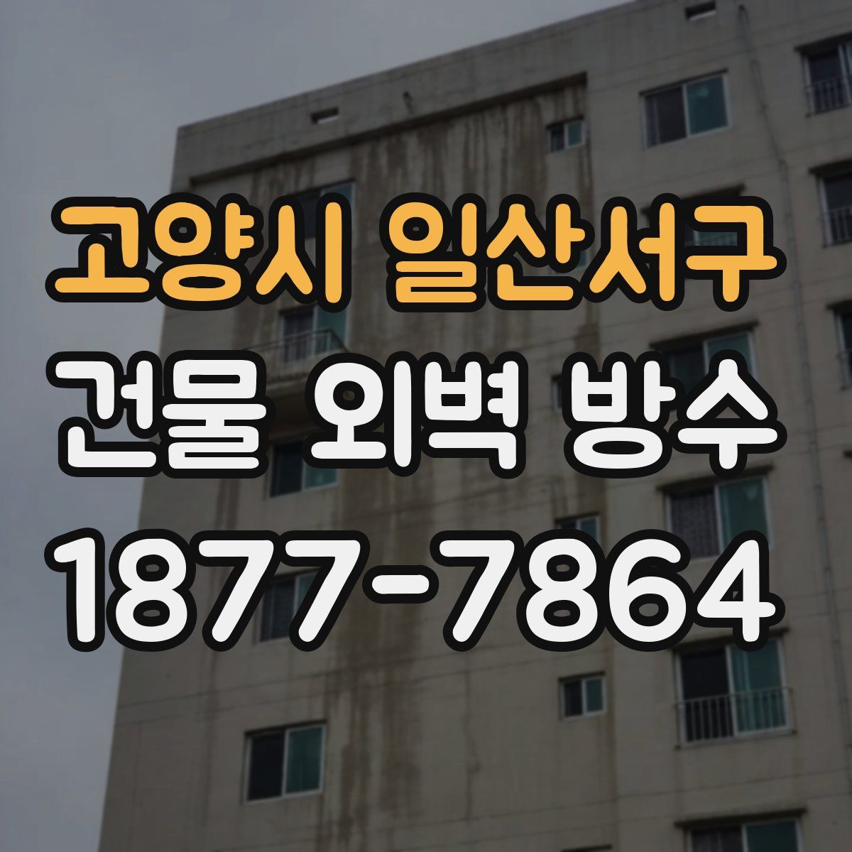 고양시 일산서구 건물 외벽 방수