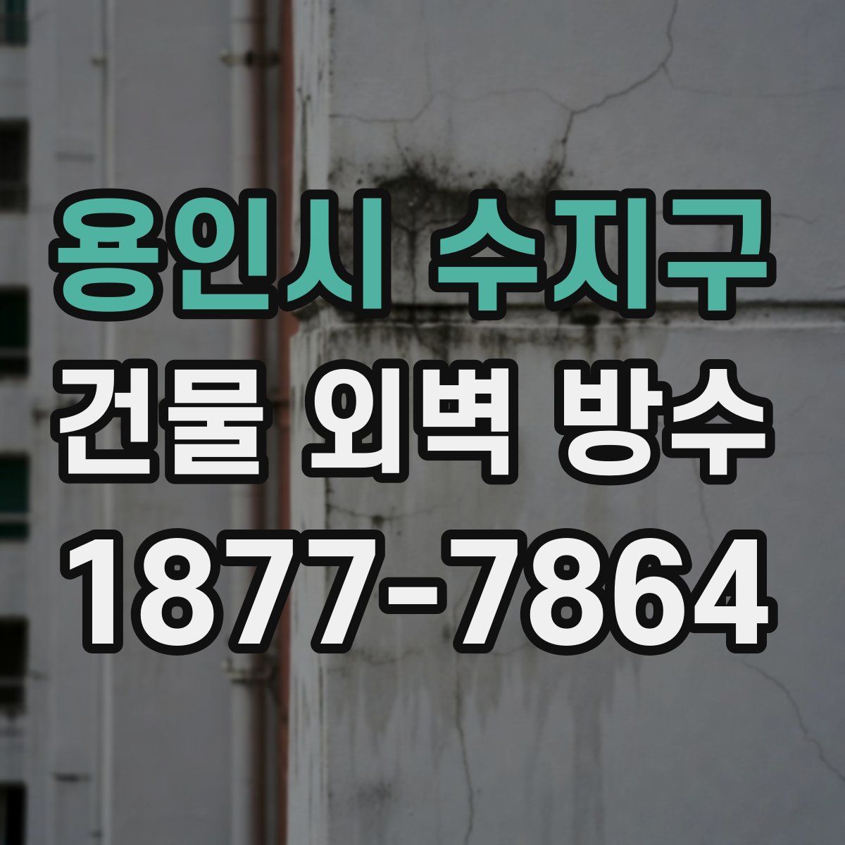용인시 수지구 건물 외벽 방수