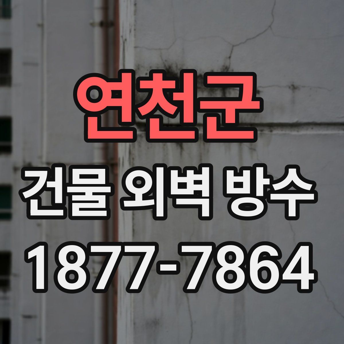 연천군 건물 외벽 방수