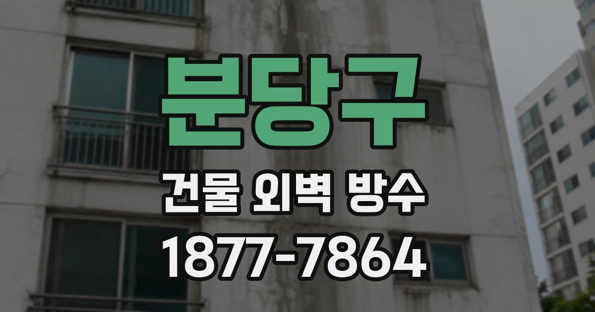 분당구 건물 외벽 방수