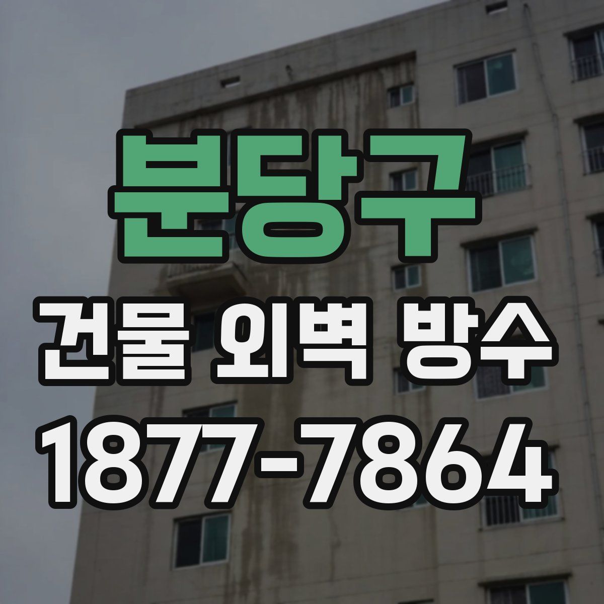 분당구 건물 외벽 방수
