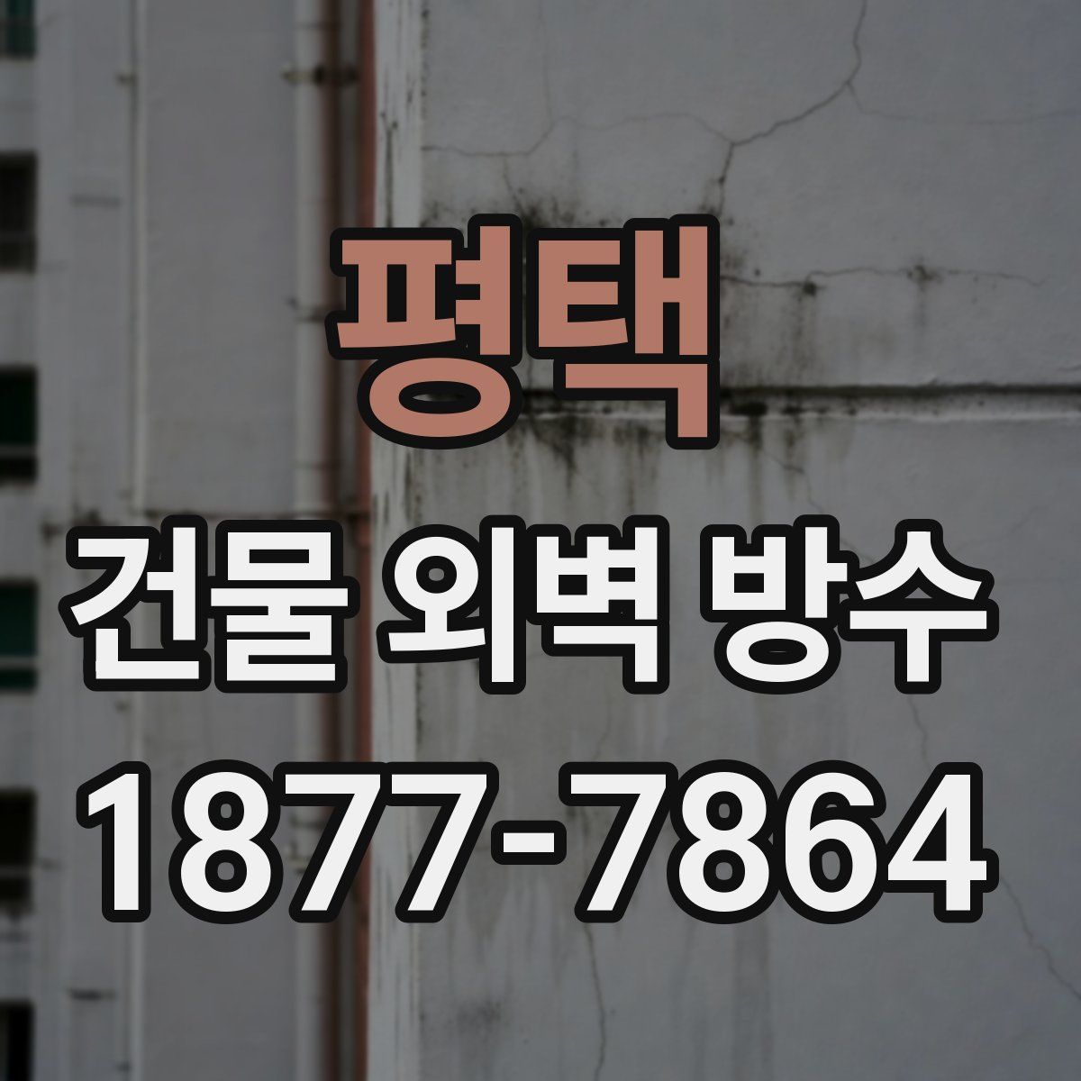 평택 건물 외벽 방수