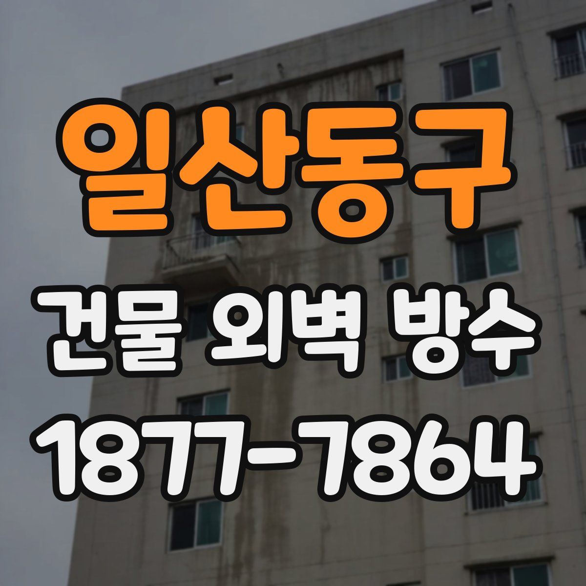 일산동구 건물 외벽 방수