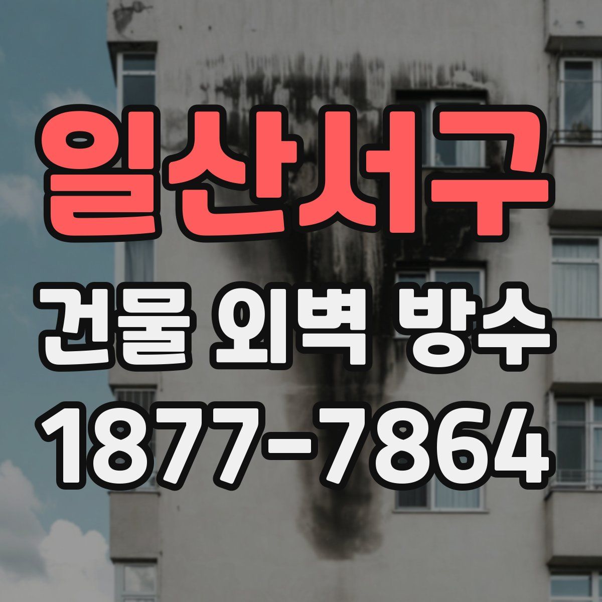 일산서구 건물 외벽 방수