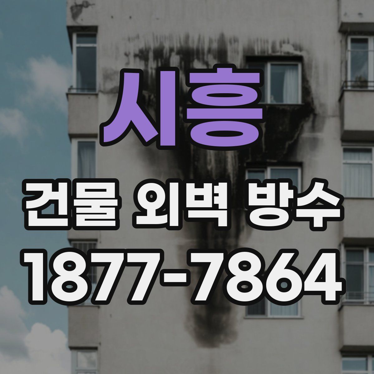 시흥 건물 외벽 방수