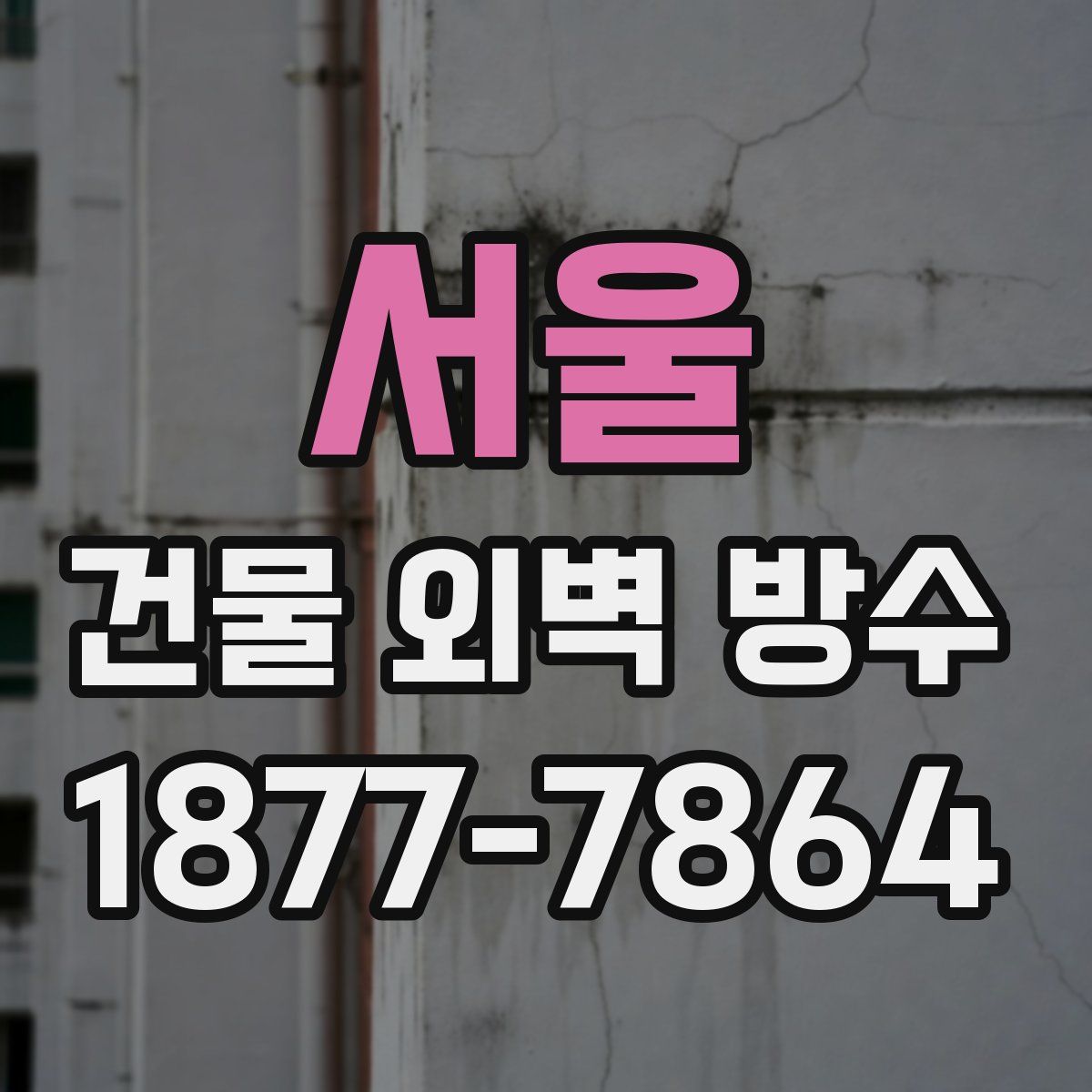 서울 건물 외벽 방수