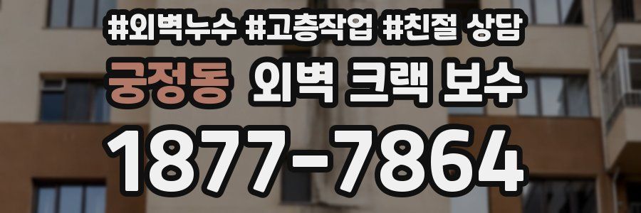 궁정동 외벽 크랙 보수