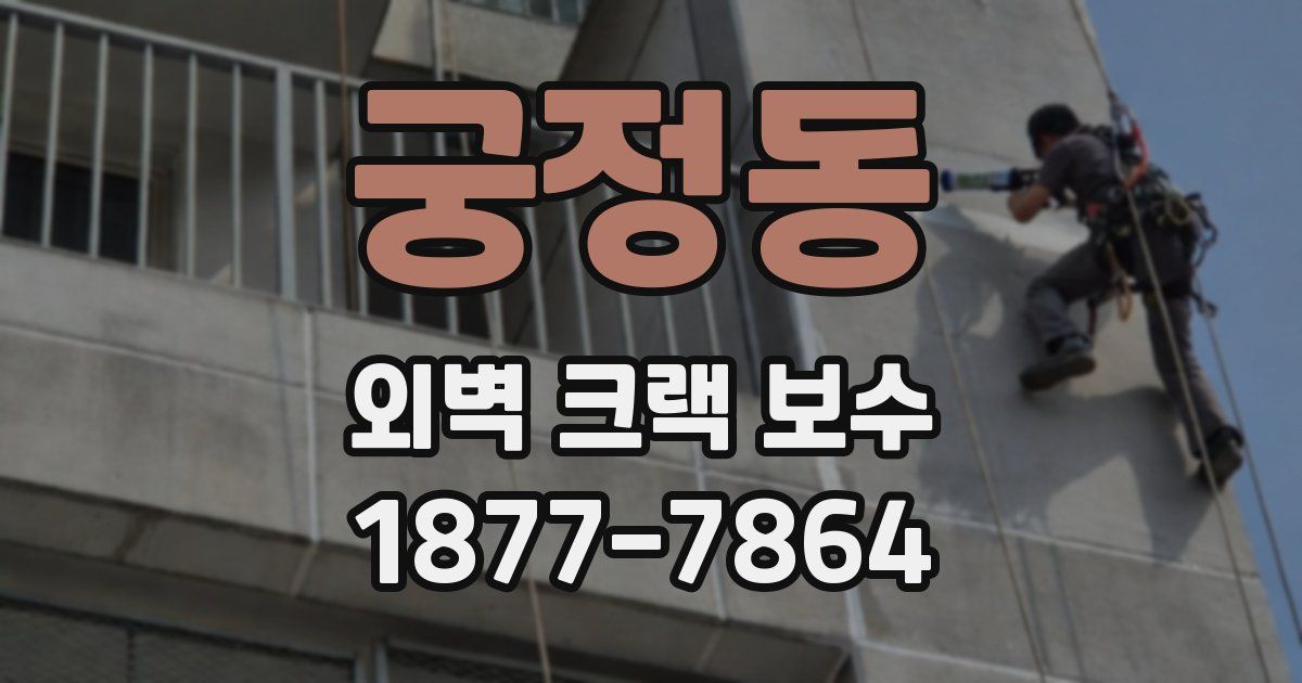 궁정동 외벽 크랙 보수