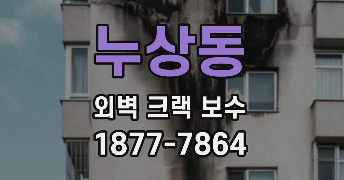 누상동 외벽 크랙 보수