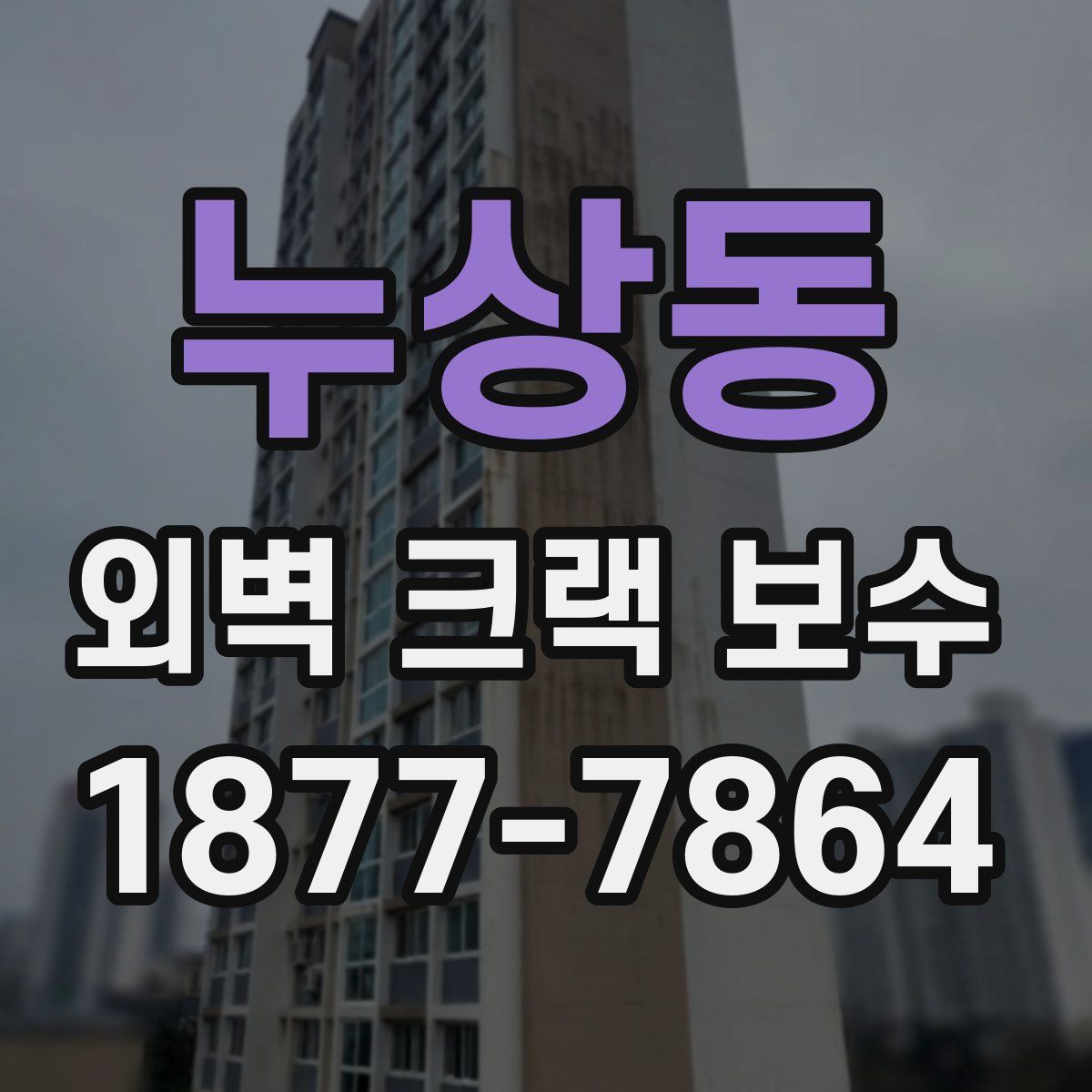 누상동 외벽 크랙 보수