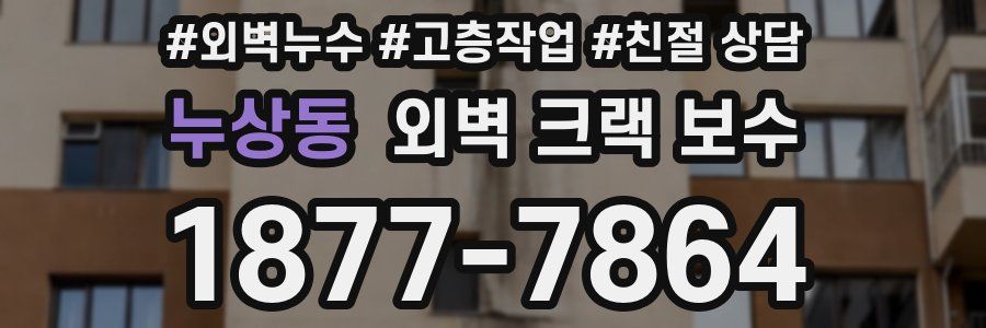 누상동 외벽 크랙 보수