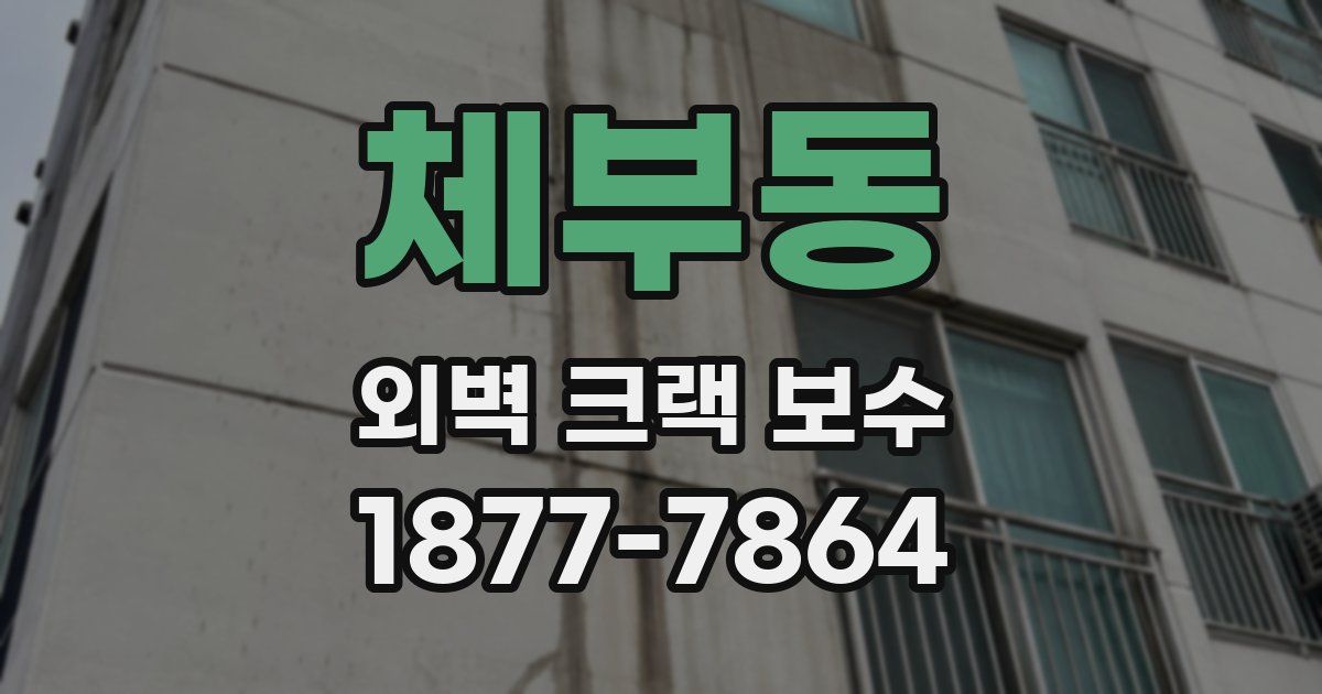 체부동 외벽 크랙 보수