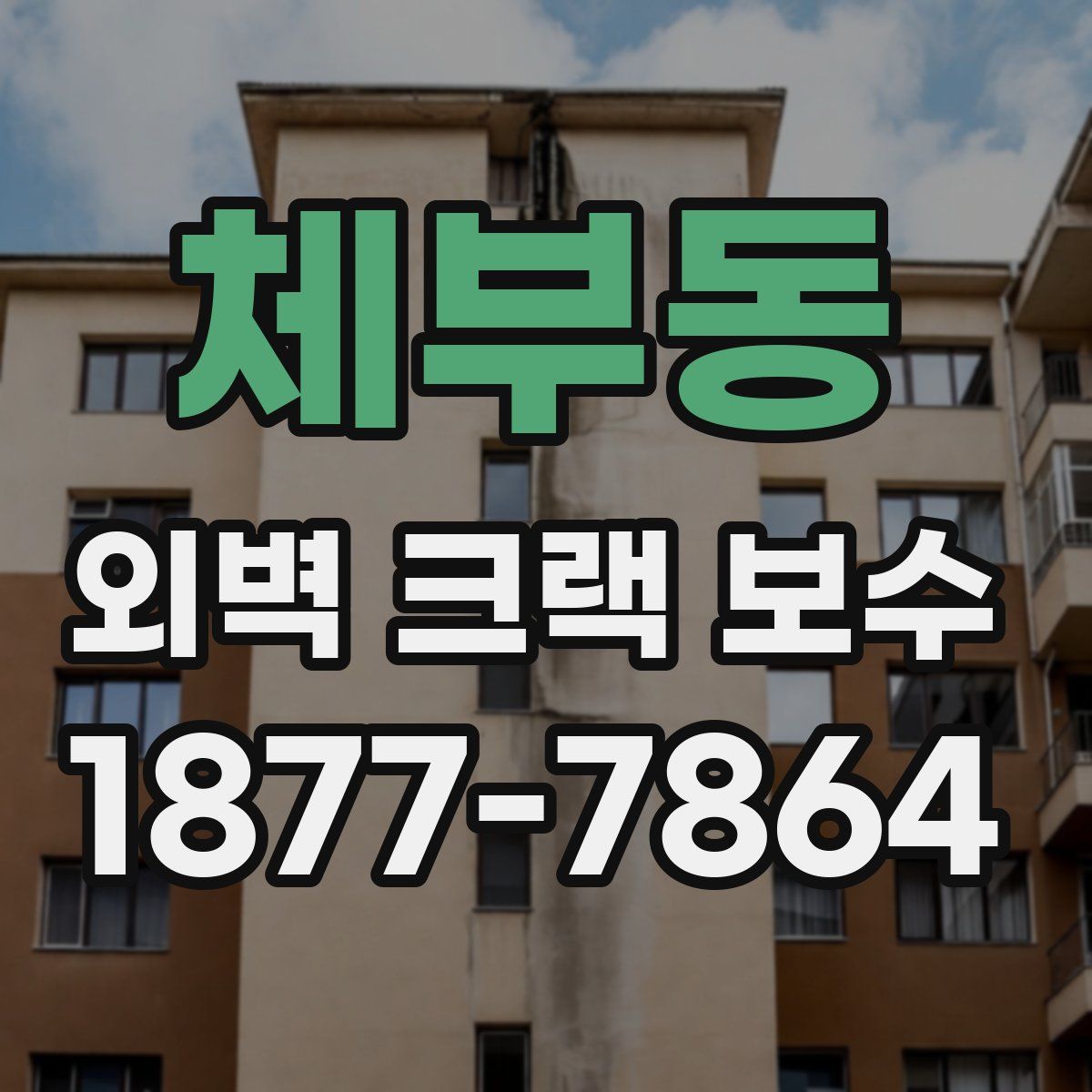 체부동 외벽 크랙 보수
