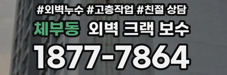 체부동 외벽 크랙 보수
