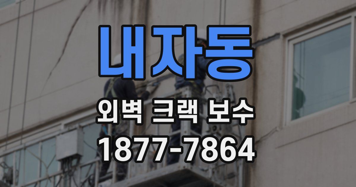 내자동 외벽 크랙 보수