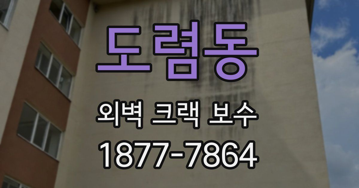 도렴동 외벽 크랙 보수