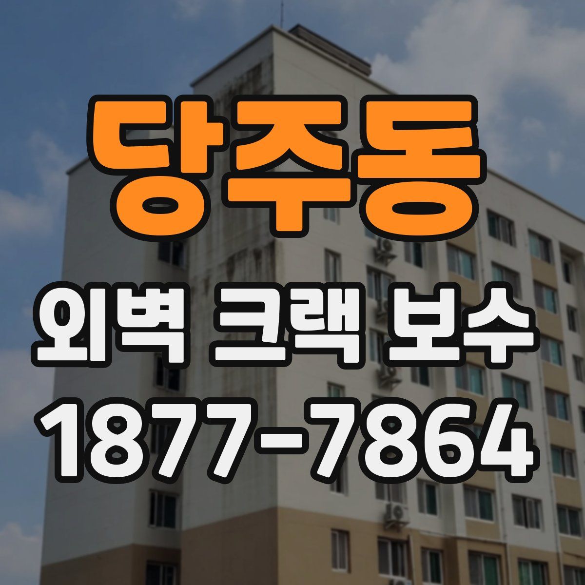 당주동 외벽 크랙 보수