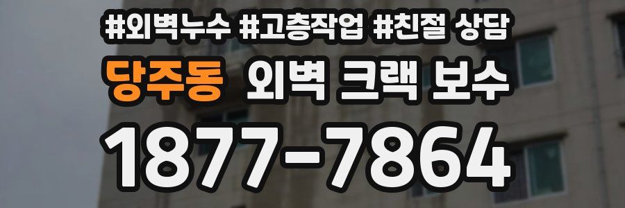 당주동 외벽 크랙 보수