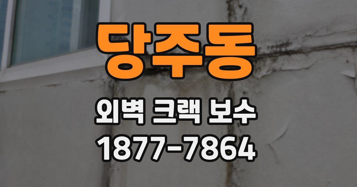 당주동 외벽 크랙 보수