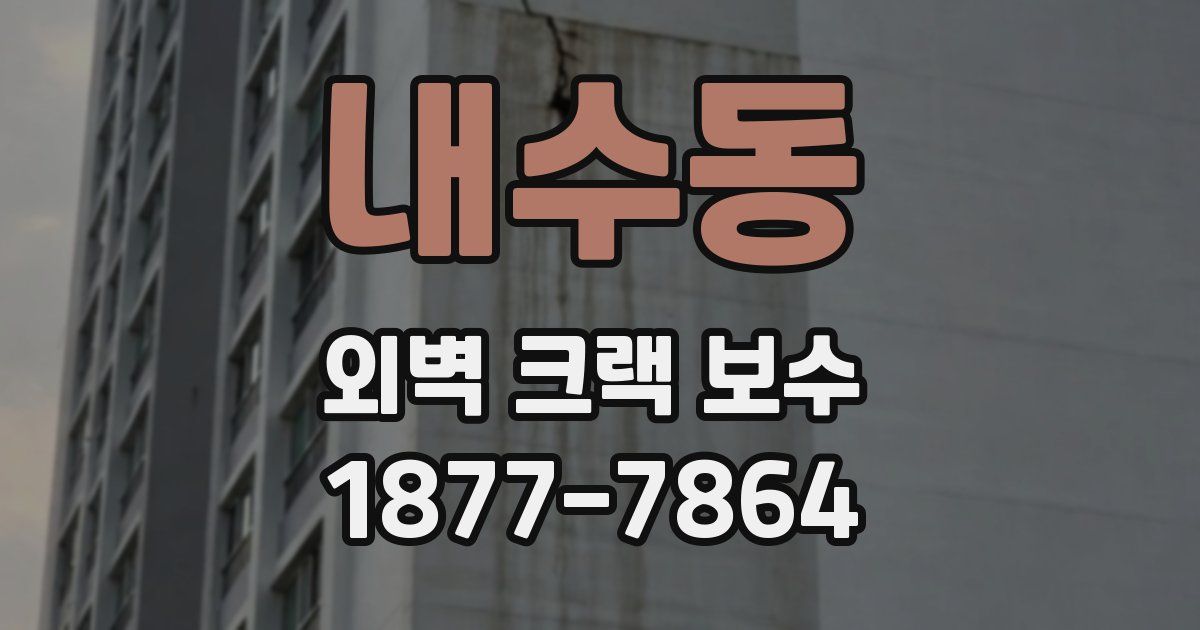 내수동 외벽 크랙 보수