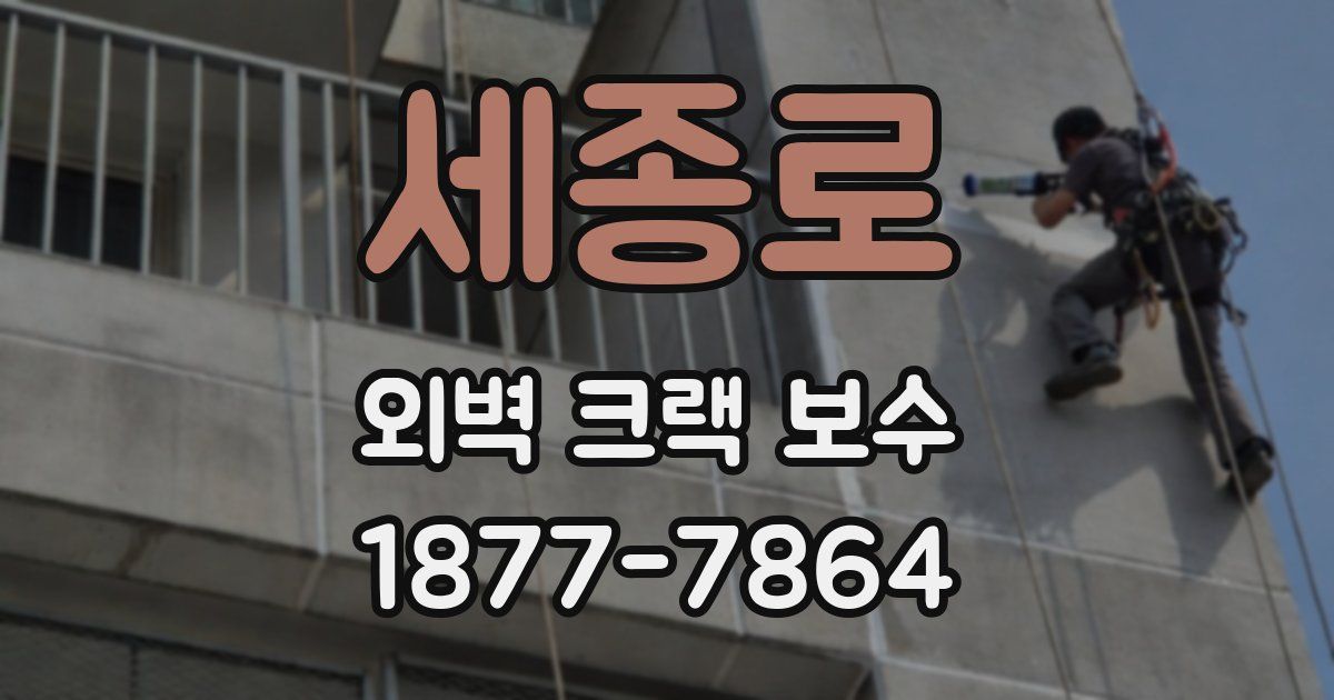 세종로 외벽 크랙 보수