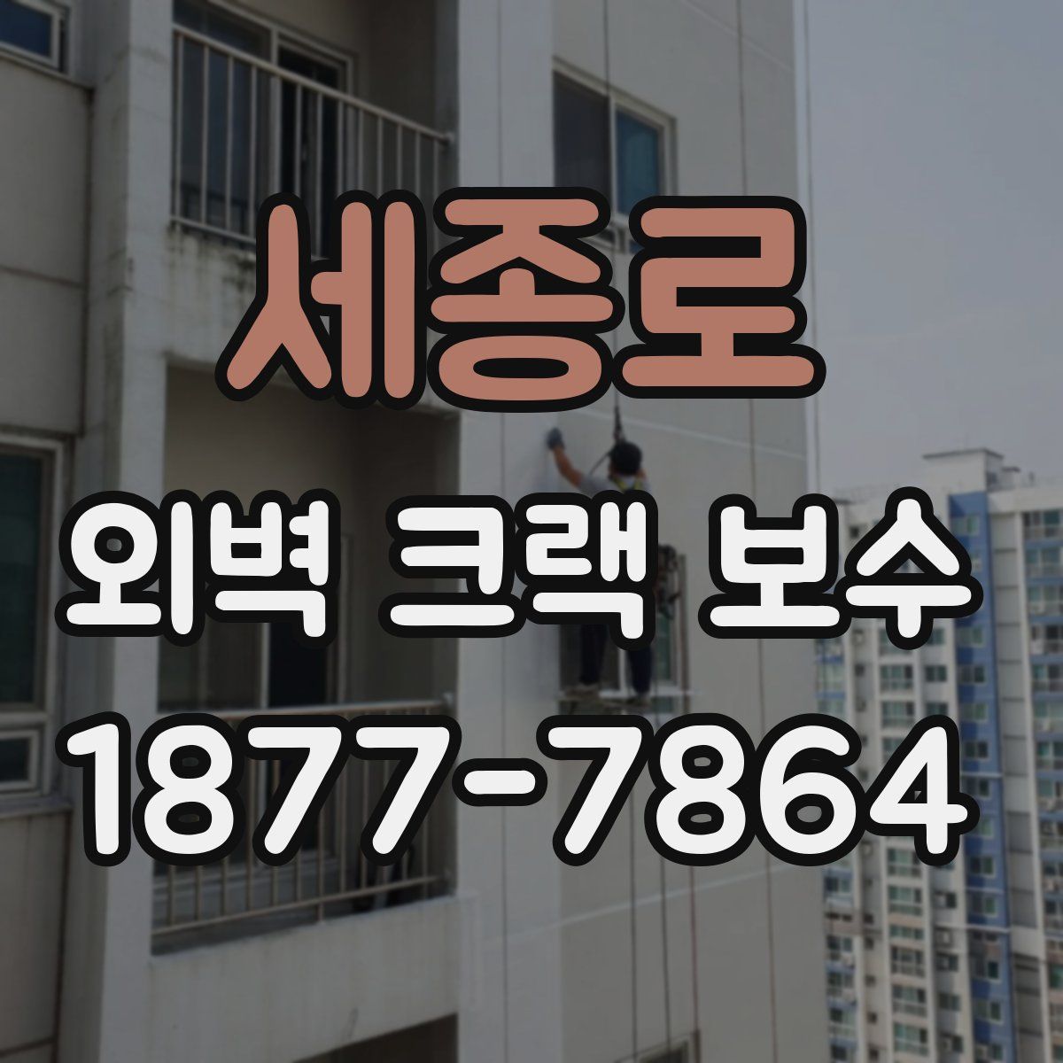 세종로 외벽 크랙 보수