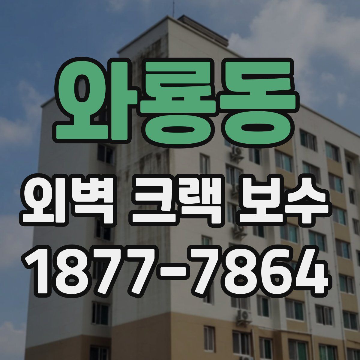 와룡동 외벽 크랙 보수