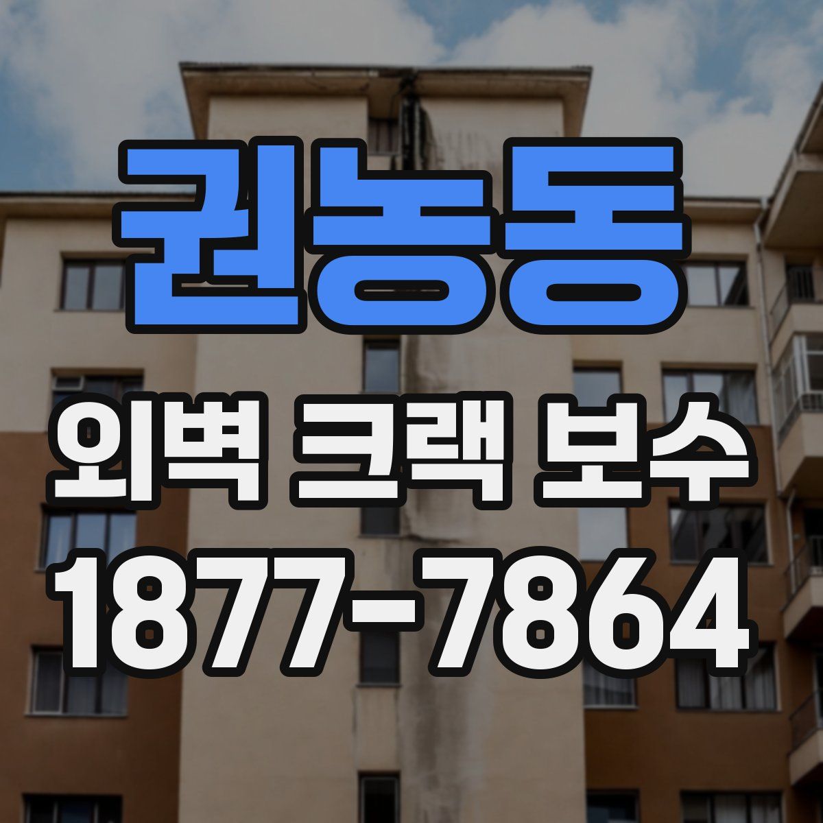 권농동 외벽 크랙 보수