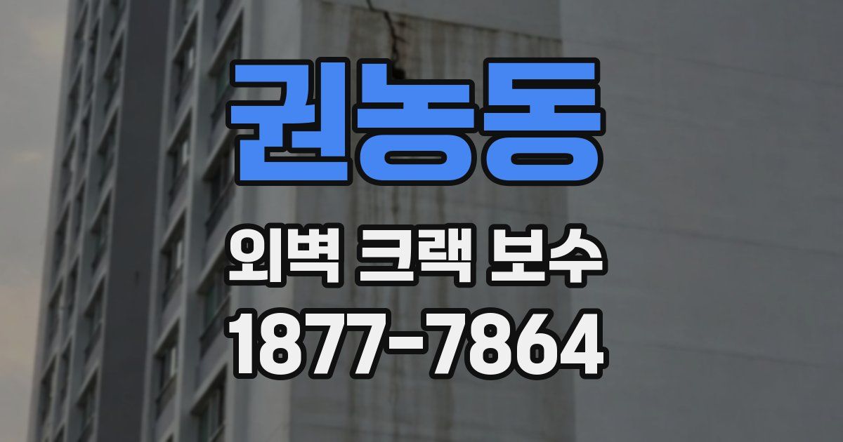 권농동 외벽 크랙 보수