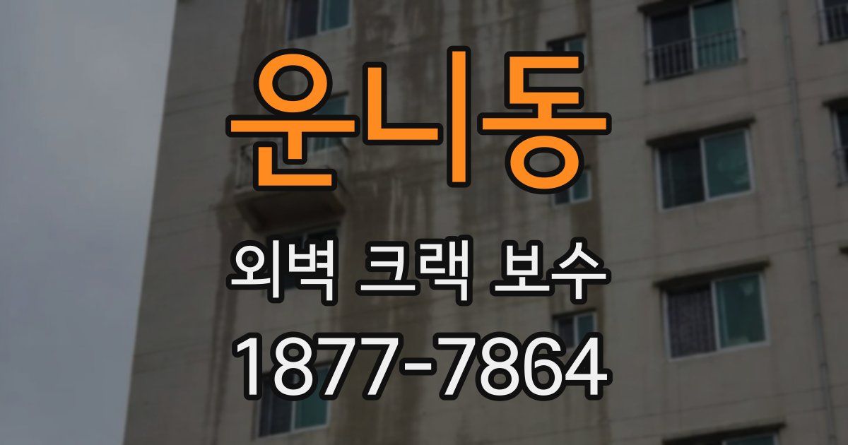 운니동 외벽 크랙 보수