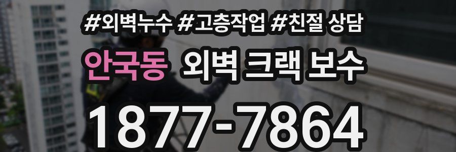 안국동 외벽 크랙 보수