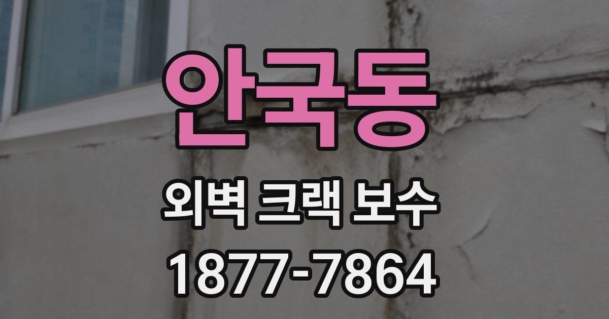 안국동 외벽 크랙 보수