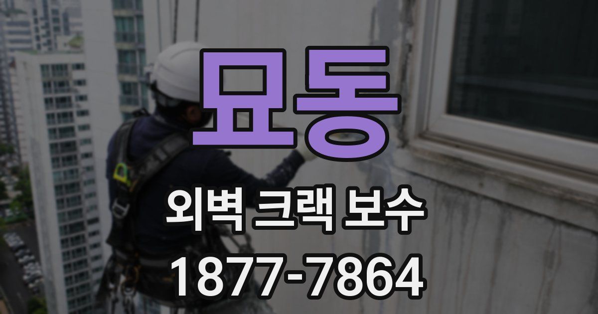 묘동 외벽 크랙 보수
