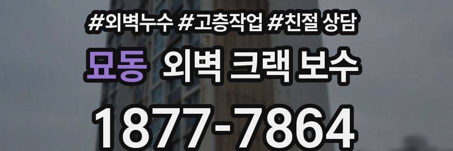 묘동 외벽 크랙 보수