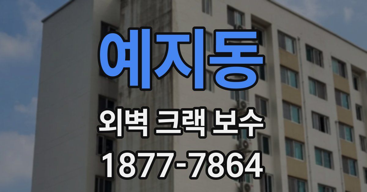 예지동 외벽 크랙 보수