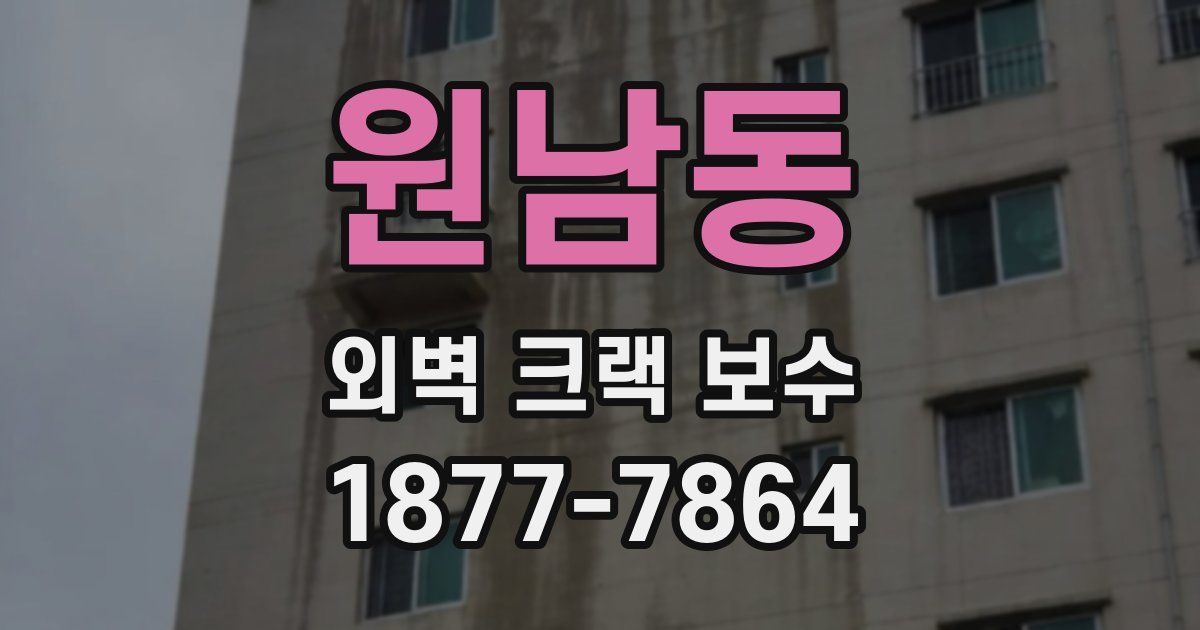 원남동 외벽 크랙 보수