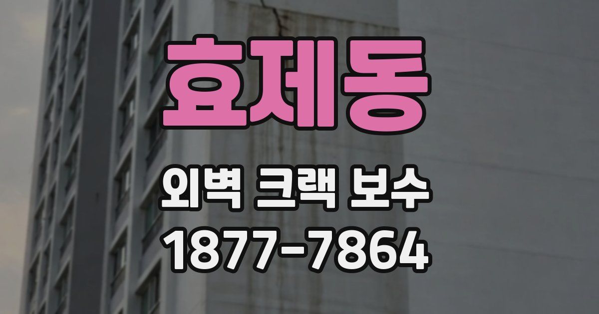 효제동 외벽 크랙 보수