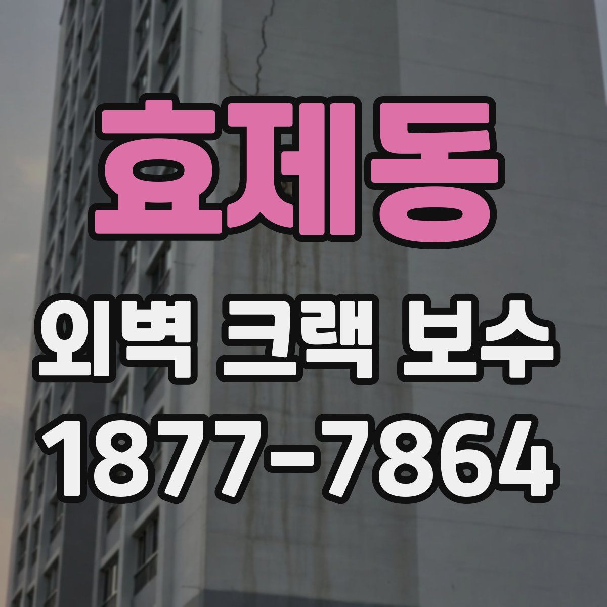 효제동 외벽 크랙 보수